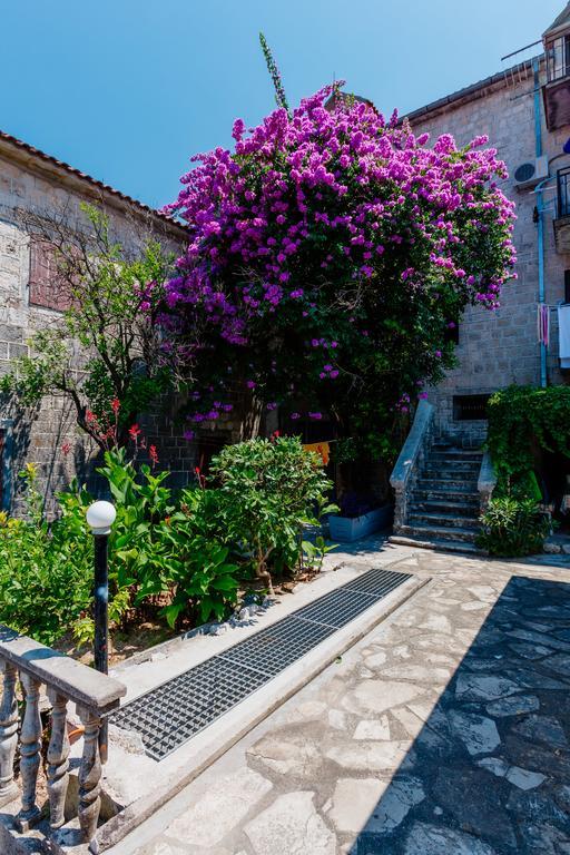 Celine'S Place By The Sea Kotor Buitenkant foto